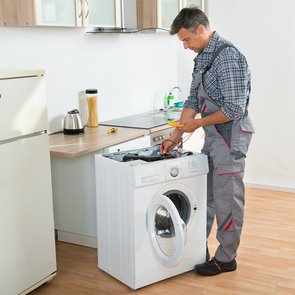 can you walk me through the steps of troubleshooting my washer issue in Plover